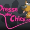 Video chien,video chiot